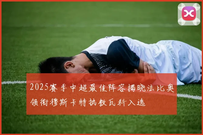 2025赛季中超最佳阵容揭晓法比奥领衔穆斯卡特执教瓦科入选